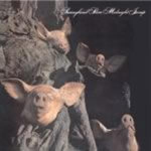 sunnyland slim: midnight jump