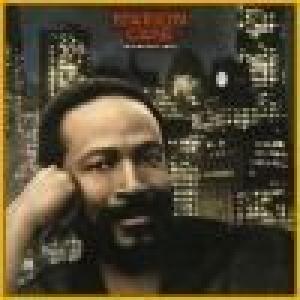 marvin gaye: midnight love