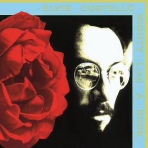 elvis costello: mighty like a rose