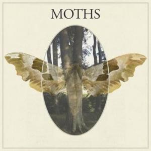 moths: moths