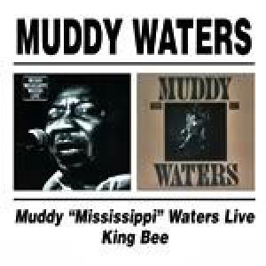 muddy waters: muddy 