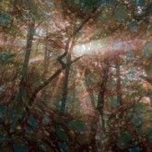 adam leonard: nature recordings