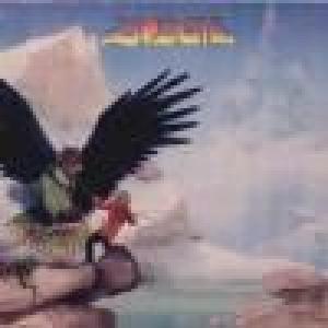 budgie: never turn your back