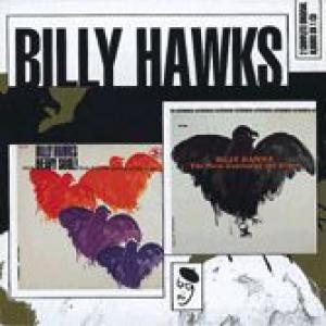 billy hawks: new genius of the blues / more heavy soul!