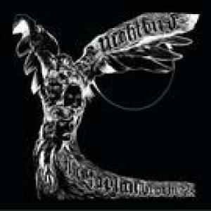 the kaplan brothers: nightbird