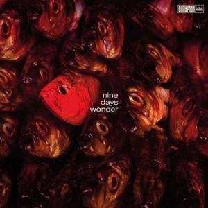 nine days wonder: nine days wonder ( first)