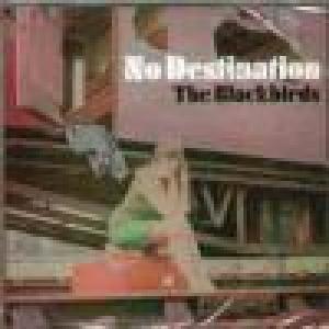 blackbirds: no destination