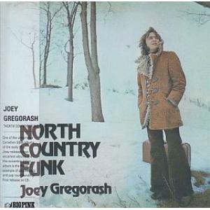 joey gregorash: north country funk