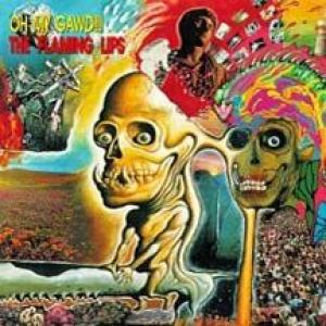 flaming lips: oh my gawd!!!...

