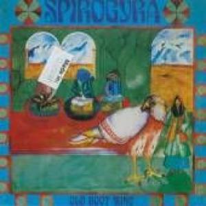 spirogyra: old boot wine