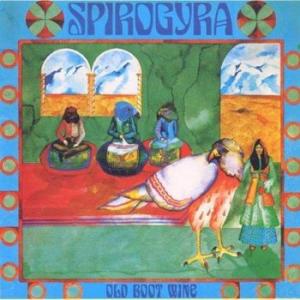 spirogyra: old boot wine