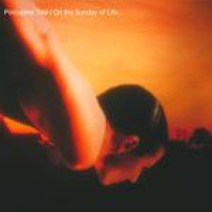 porcupine tree: on the sunday of life