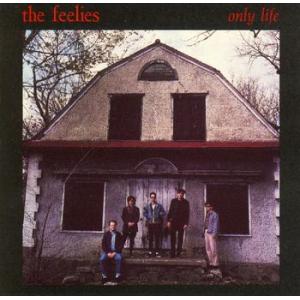 the feelies: only life