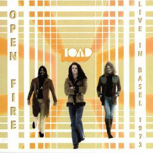 toad: open fire - live in basel