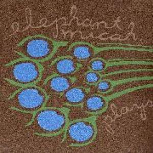 elephant micah: plays the songs of bible birds