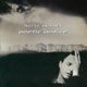 steve harley: poetic justice