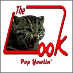 the look: pop yowlin'
