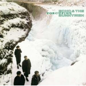 echo & the bunnymen: porcupine