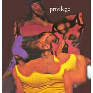 privilege: privilege