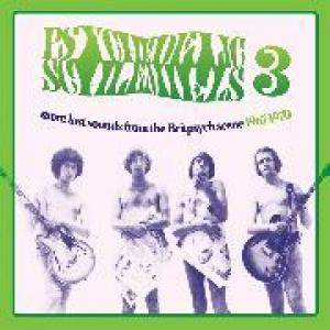 various: psychedelic shlemiels vol.3