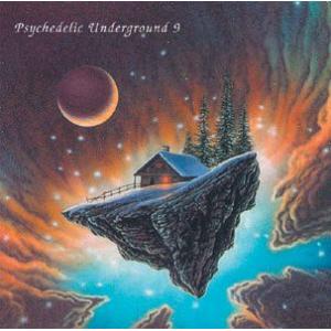 v.a.: psychedelic underground 9