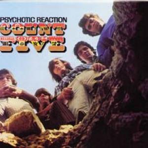 count five: psychotic reaction