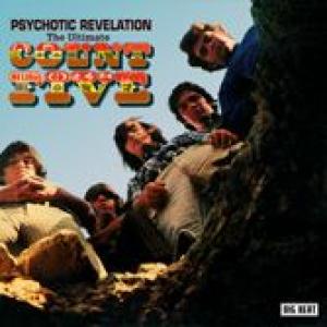 count five: psychotic revelation
