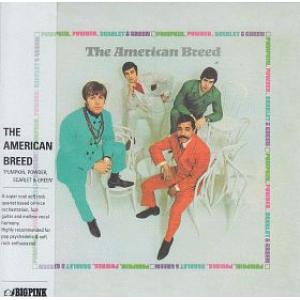 the american breed: pumpkin, powder, scarlet & green