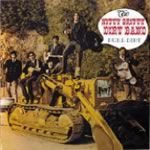 the nitty gritty dirt band: pure dirt