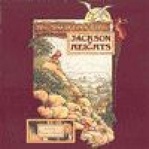 jackson heights: ragamuffins fool / bump'n'grind