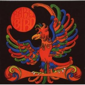 rare bird: rare bird