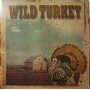wild turkey: rarest turkey