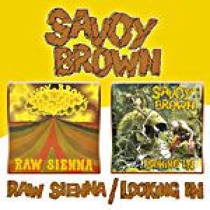 savoy brown: raw sienna / looking in