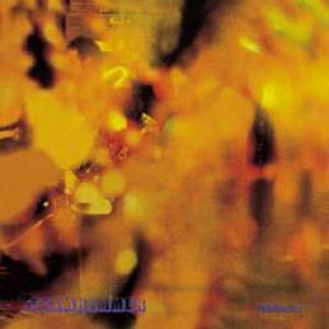 steamhammer: reflection