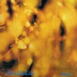 steamhammer: reflection