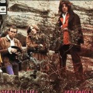 steamhammer: reflection