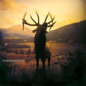 kosheen: resist (coloured)