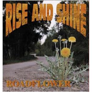rise and shine: roadflower