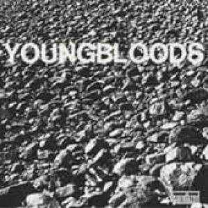 youngbloods: rock festival