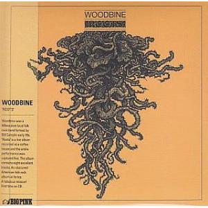 woodbine: roots