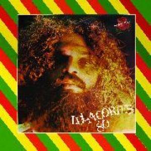 lula cortes: rosa de sangue