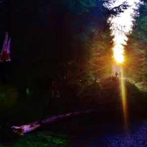 united bible studies: rosary bleeds