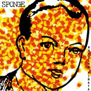 sponge: rotting pinata