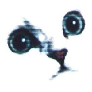 chapterhouse: rownderbowt (record store day 2021 second drop exclusive, limited, black-white marble)