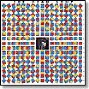 the head shop: the head shop