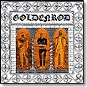 goldenrod: goldenrod