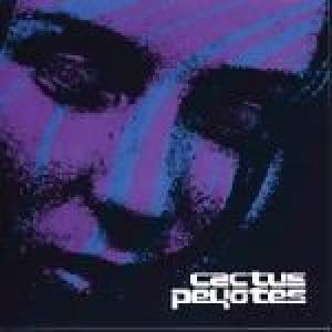 cactus peyotes: cactus peyotes