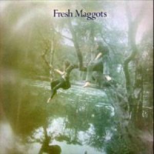 fresh maggots: fresh maggots