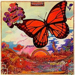 a passing fancy: a passing fancy