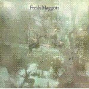 fresh maggots: fresh maggots